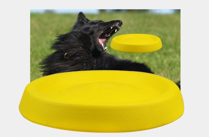 Pet Dogs Throwing Plastic Toys - The happy tails waggers