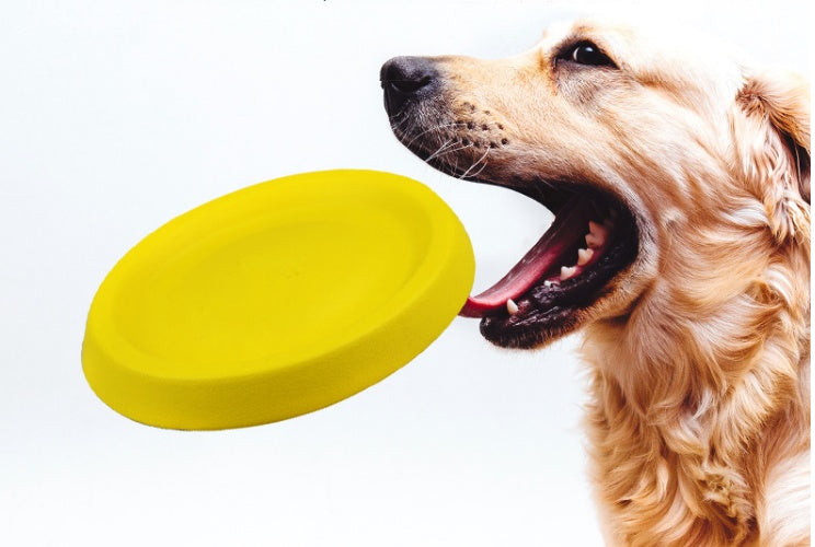 Pet Dogs Throwing Plastic Toys - The happy tails waggers