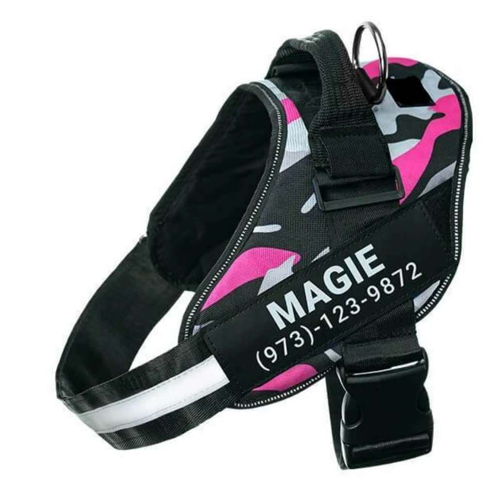 Personalized Custom Reflective Breathable Dog Harness NO PULL Adjustable Pet Harness For Small Large Dog Harness Vest With Patch - The happy tails waggers