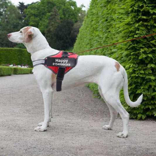 Personalized Custom Reflective Breathable Dog Harness NO PULL Adjustable Pet Harness For Small Large Dog Harness Vest With Patch - The happy tails waggers
