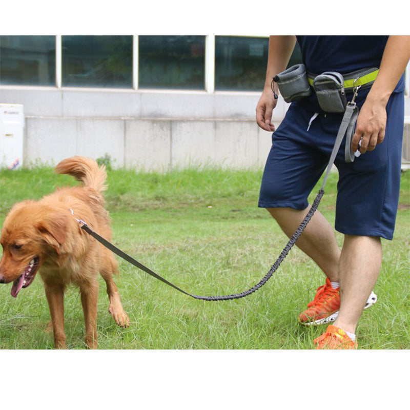 Adjustable Hands Free Dog Leash - The happy tails waggers