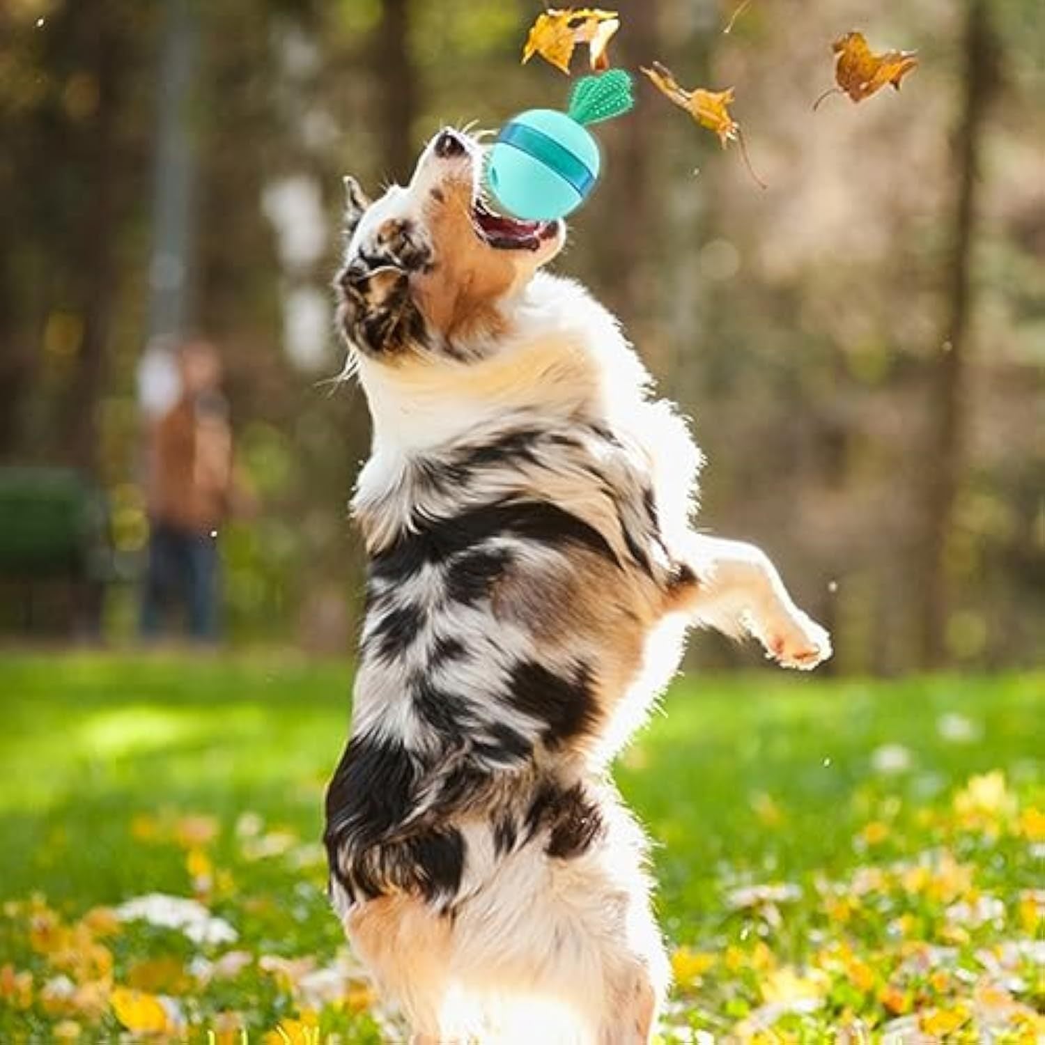 Interactive Treat Dispensing Dog Toys - The happy tails waggers