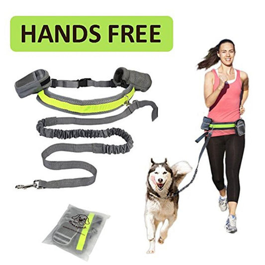 Adjustable Hands Free Dog Leash - The happy tails waggers