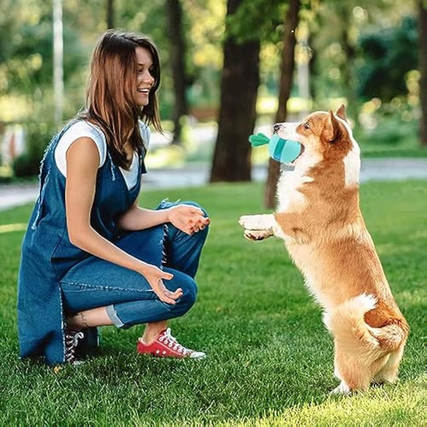 Interactive Treat Dispensing Dog Toys - The happy tails waggers