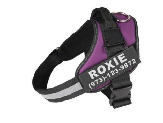 Personalized Custom Reflective Breathable Dog Harness NO PULL Adjustable Pet Harness For Small Large Dog Harness Vest With Patch - The happy tails waggers